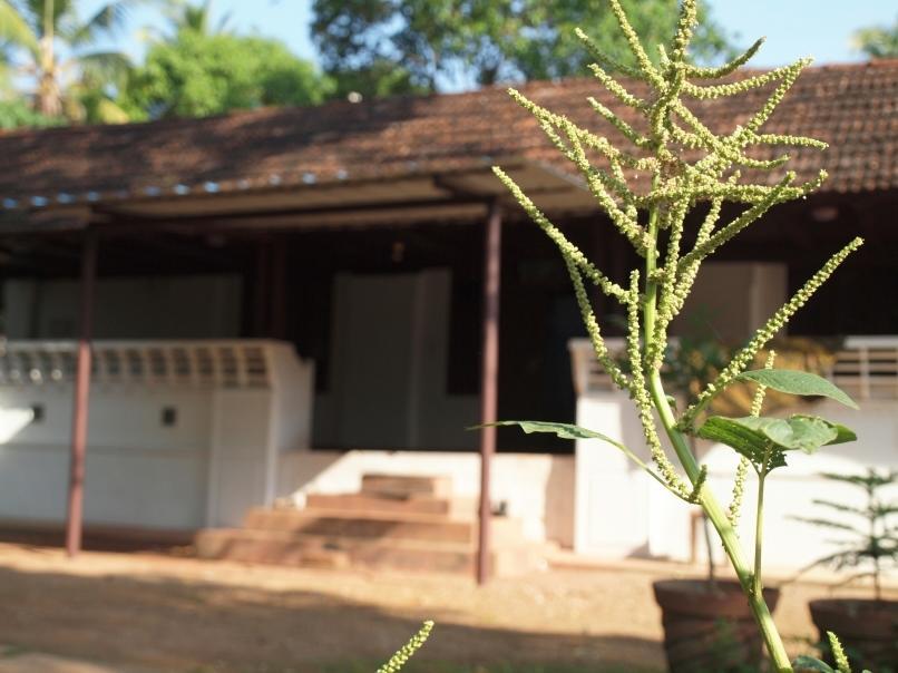 Chedi Spring Valley Athirappilly Ngoại thất bức ảnh